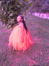 Load image into Gallery viewer, Ky’rin 7th Heaven Tutu Organza  Dress